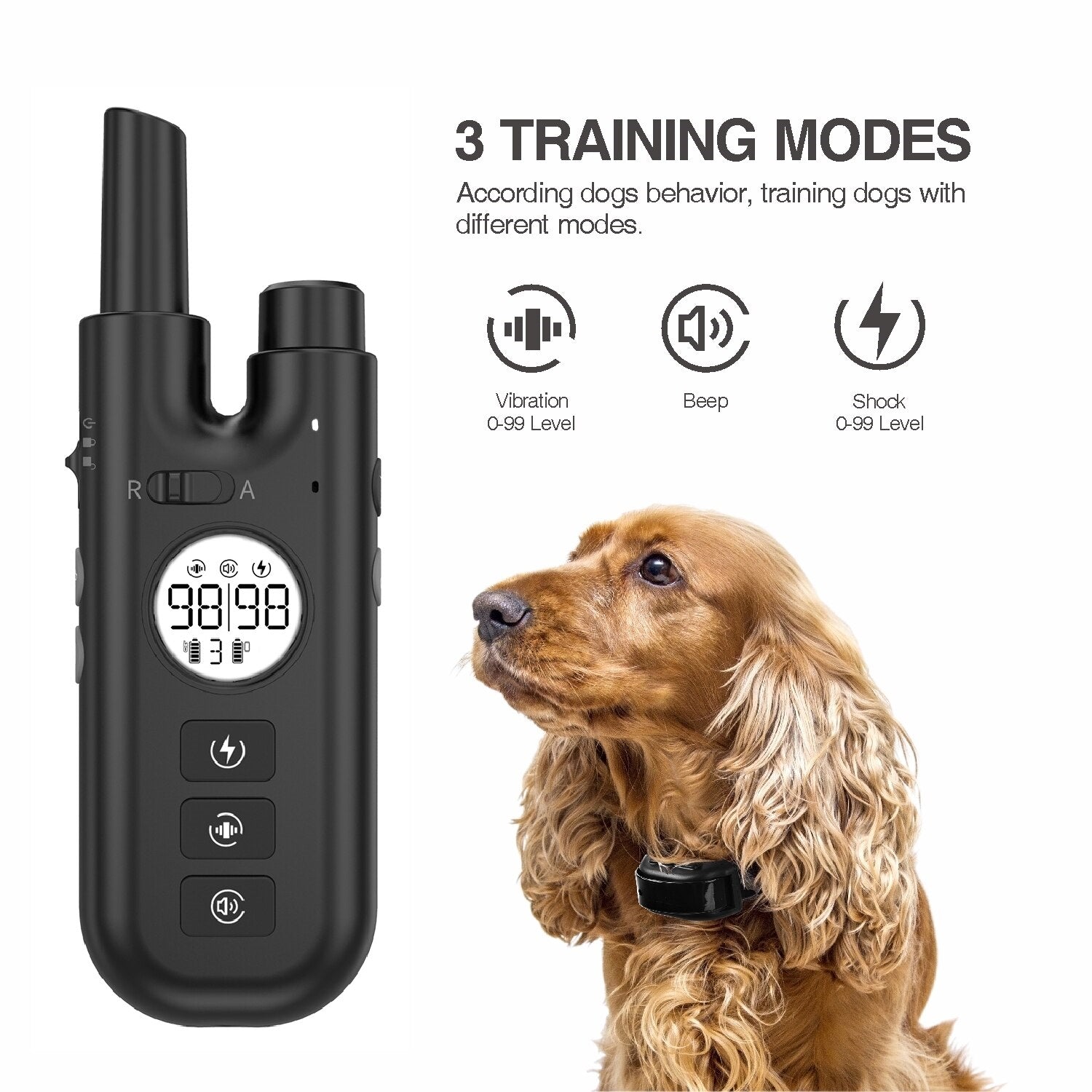 2 in 1 Dog Training Collar