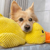 Calming Duck Toy by Wowpetsmart®