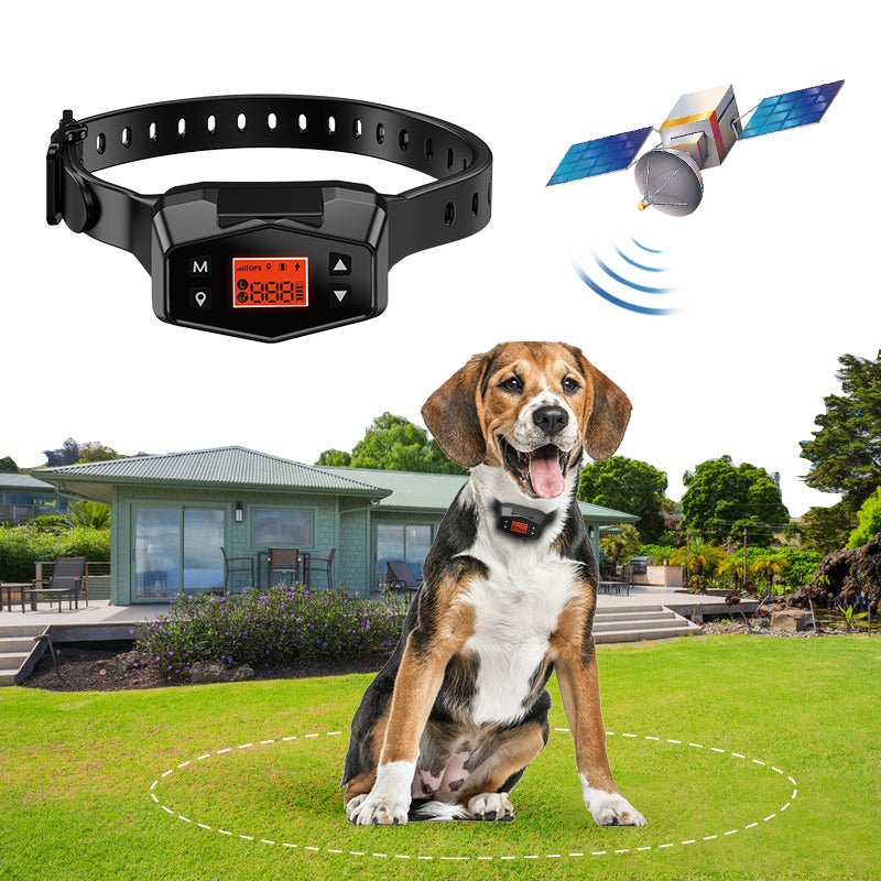 GPS Wireless Dog Fence by Wowpetsmart®