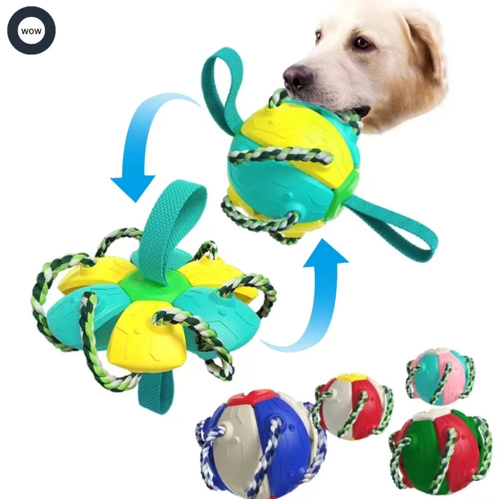 Interactive Flying Disc Ball Dog Toy