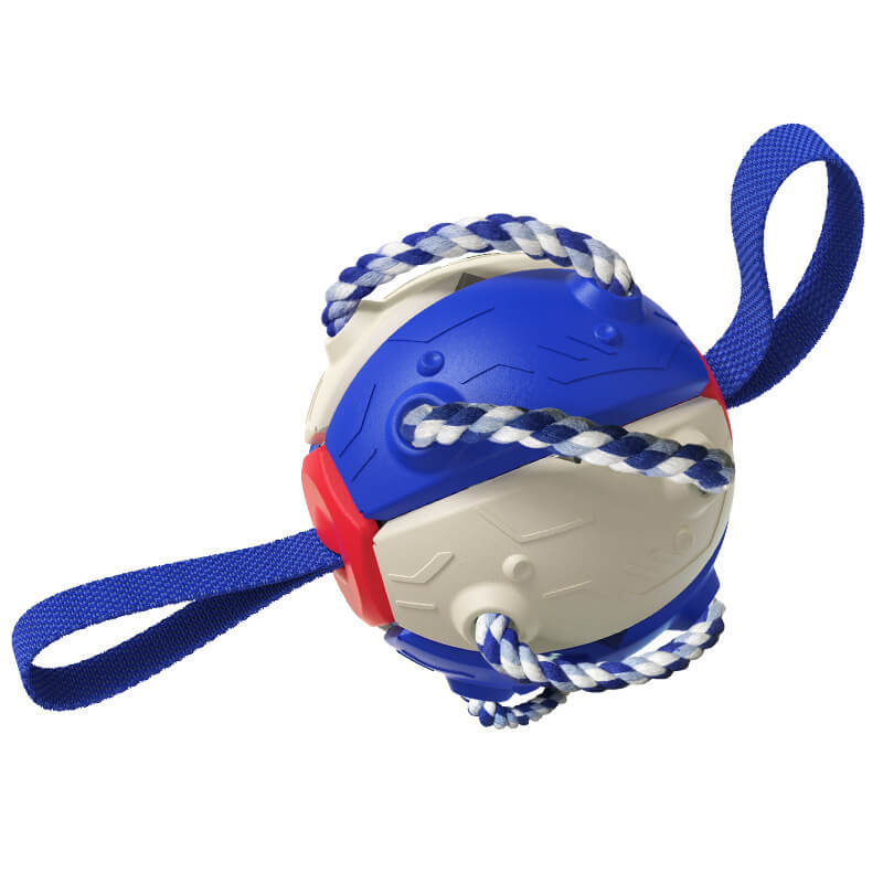 Interactive Flying Disc Ball Dog Toy