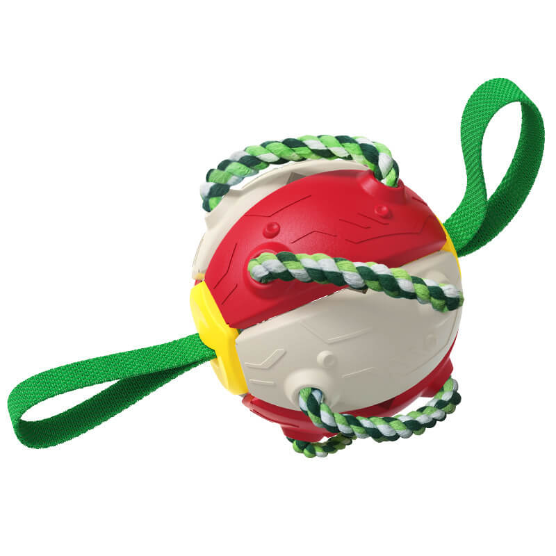 Interactive Flying Disc Ball Dog Toy