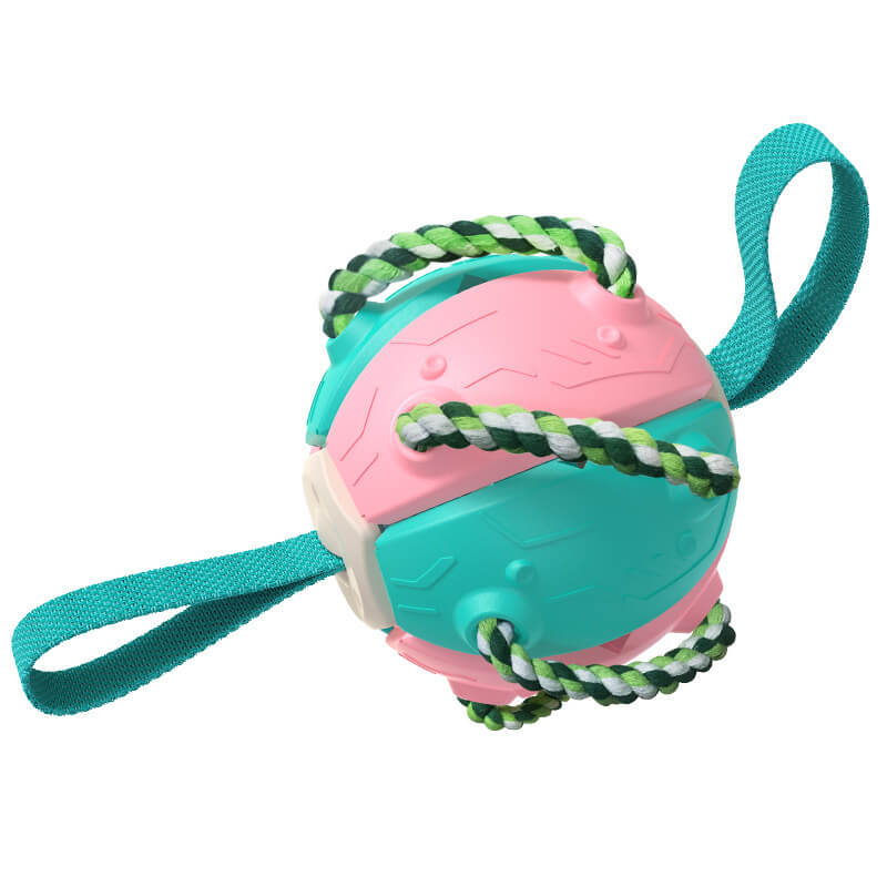 Interactive Flying Disc Ball Dog Toy