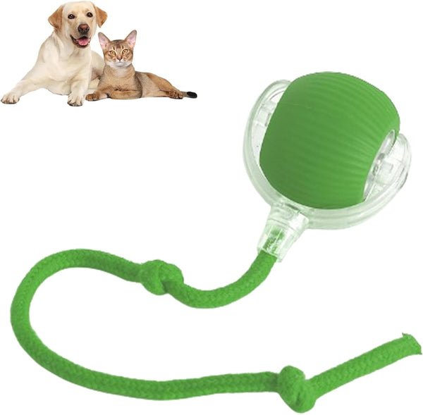 PawBot™ Smart Pet Ball – Interactive & Pet-Friendly