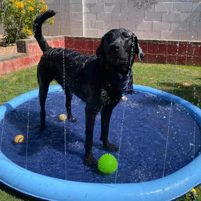 Splash Pad - Endless Doggy Summer Fun!