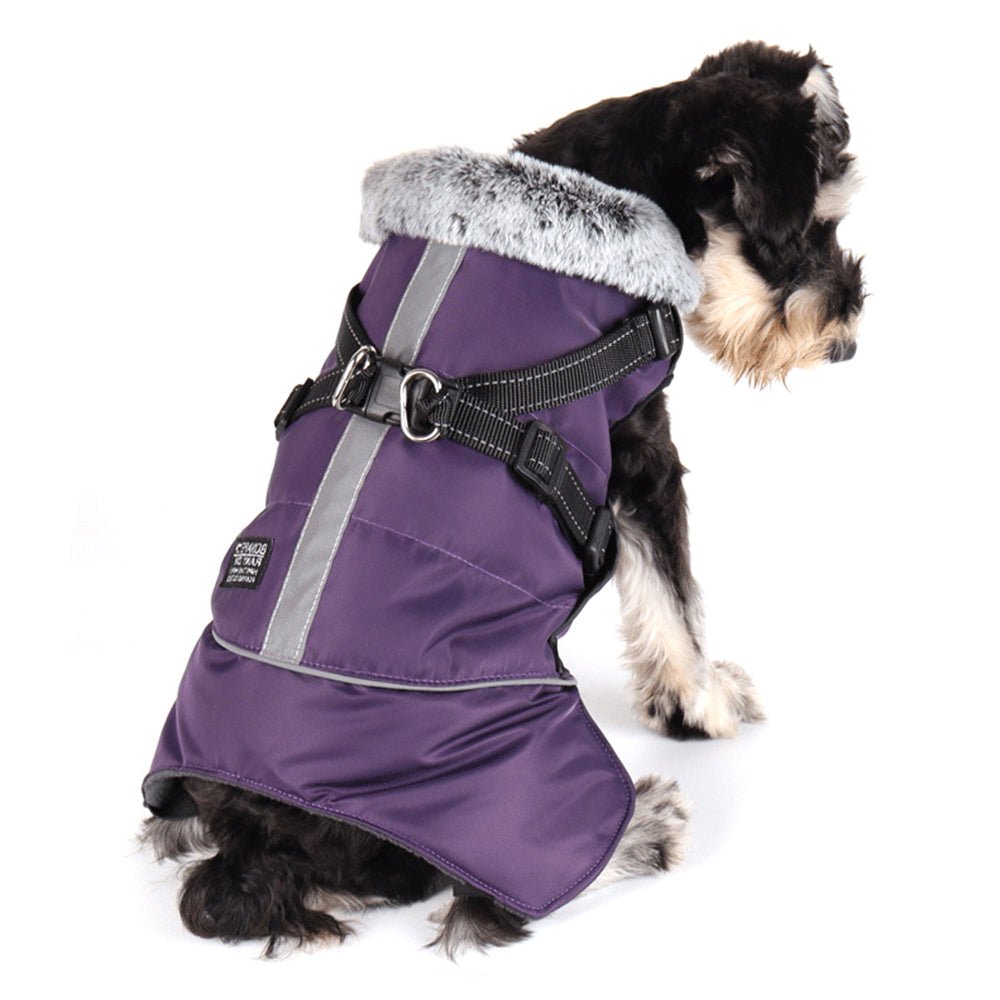 Winter Warm Fur Collar Waterproof Dog Jacket