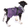 Winter Warm Fur Collar Waterproof Dog Jacket